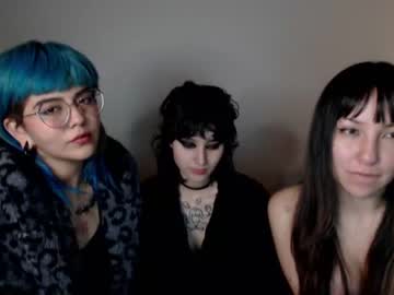 Cam for mushroomtoad22