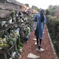 _sizuku_o0 - Live now on Stripchat